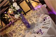 PURPLE (2)